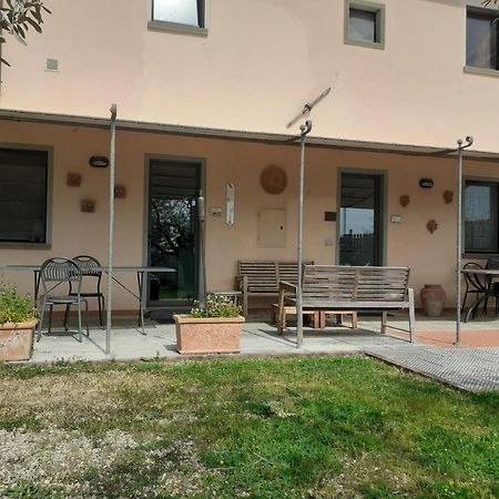 Agriturismo Podere Zollaio 芬奇 外观 照片