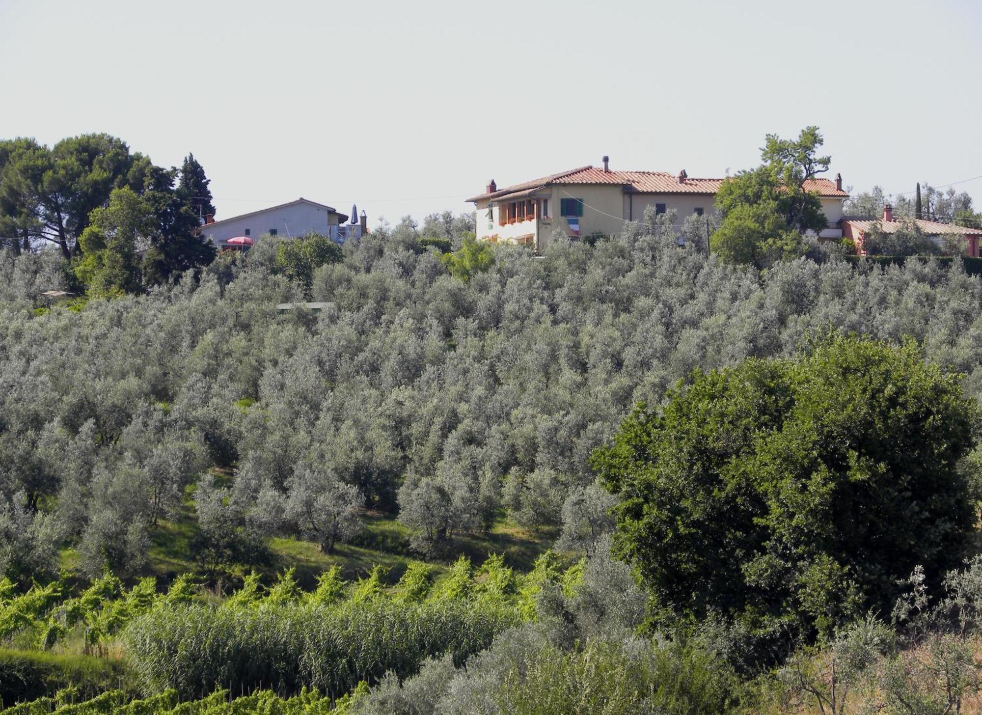Agriturismo Podere Zollaio 芬奇 客房 照片