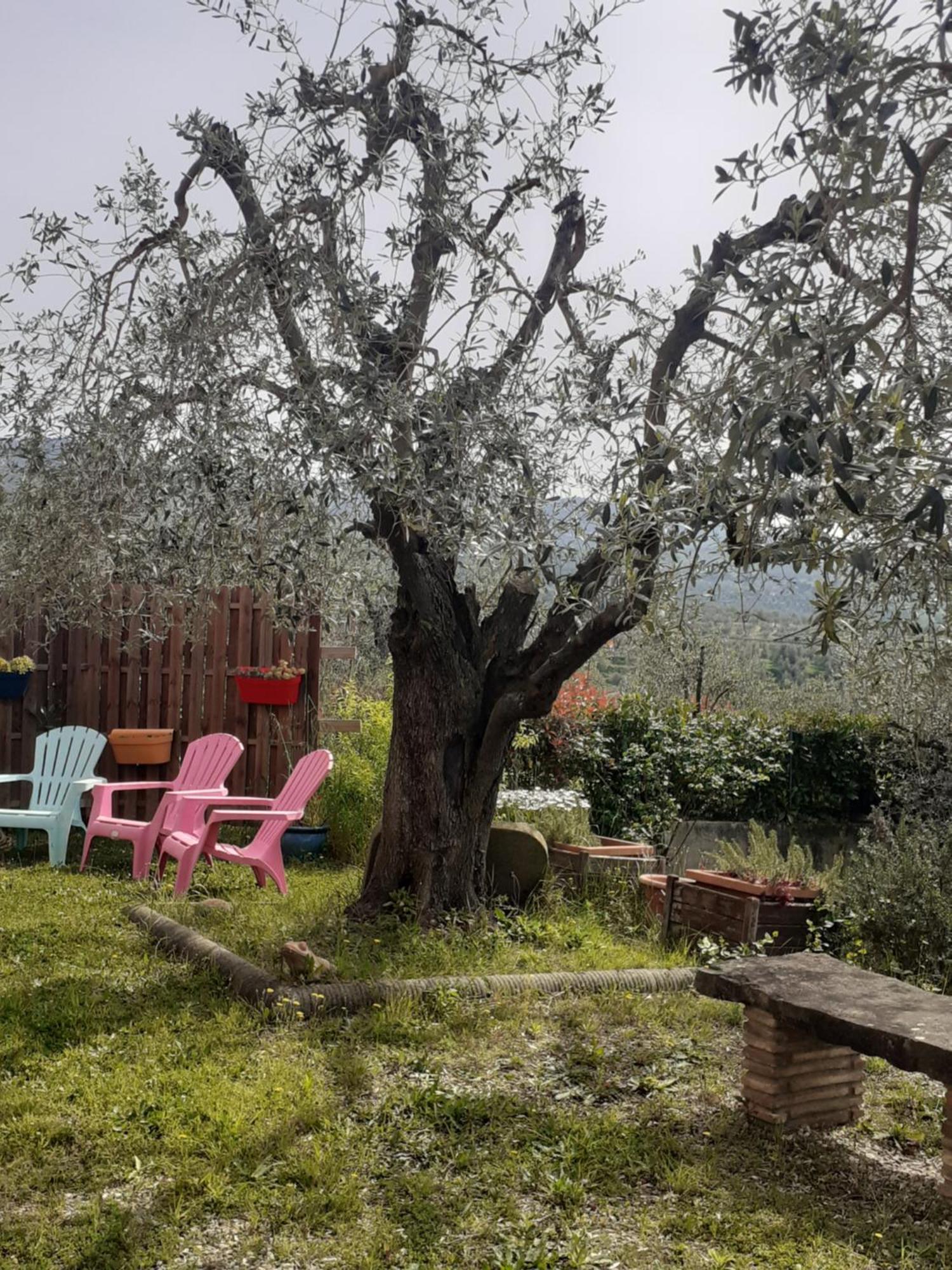 Agriturismo Podere Zollaio 芬奇 外观 照片